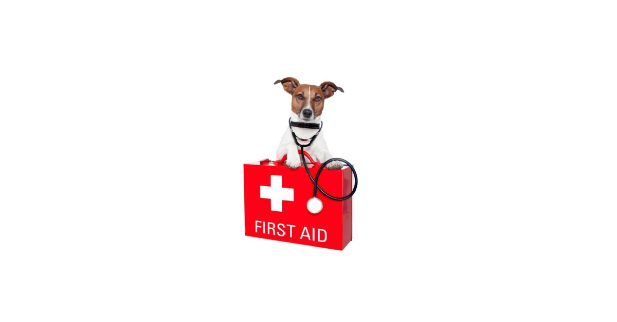 Paw Pet Pantry Pet First Aid Kit